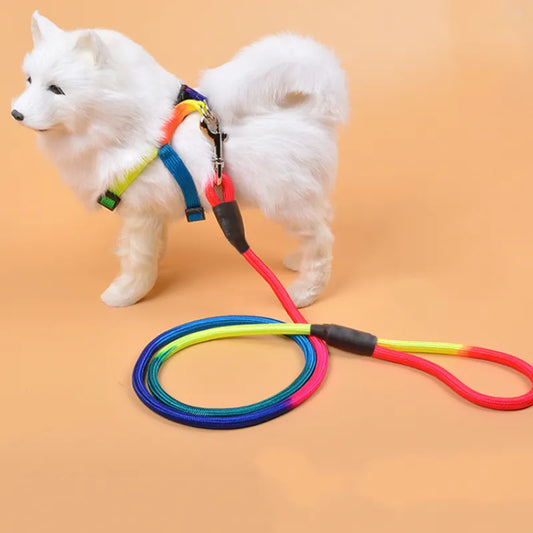 Colorful Nylon Round Hand Holding Dog Rope Pets Supplies